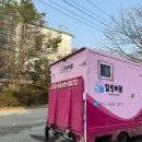 힐링버블 | 중형견 대형견출장목욕 ‘힐링버블’에서 진도믹스 댕빨시킨 후기