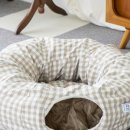 펫 아지트 이미지