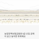 농림상사 | 농업정책보험금융원 5급 신입 공채 뜯어보기 - 정규직에 공기업 안정성까지, 이 공고 놓치면 후회해요