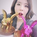 써니문구 이미지