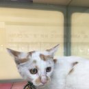 송림4동 주민센터 이미지