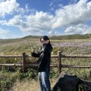 견우농장 | 11월 '제주 동쪽' 여행 2박 3일