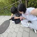 행운광고기획 - 중구 보문산로177번안길 40 | 포켓몬 고 페스트 2026 반포 한강공원, 고속터미널 1일차 후기ㅣ서버 렉 꿀팁