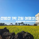 서림농장 | 제주 서귀포 산방산을 중심으로한 여자혼자 1박 2일 뚜벅이 여행 추천 코스