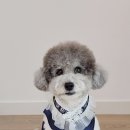 여주 다리원 애견독채팬션 이미지