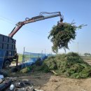 의영농장 이미지