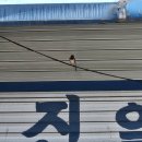 창녕 한달살기 (왕순 수구레, 칠성국밥전문식당)