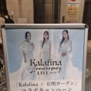 라이브 | 250115) kalafina anniversary 라이브 후기
