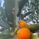 수채화별당 이미지