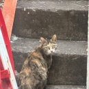 동문동로53번길 이미지