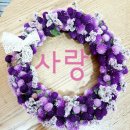 사진사랑 이미지