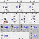 법인진토