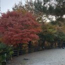 브라보캠핑장 이미지