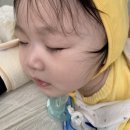 나나로프 이미지