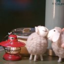 해피범박힐링대리점 | 계곡 캠핑: 픽업트럭과 2층 텐트로 완벽한 감성 힐링 순간. 렉스턴스포츠칸 차박. ARB플린더스. 캠핑...