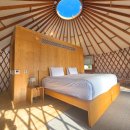 스타빌 | 제주 럭셔리 글램핑 '스타빌' 108호 객실, 수영장 후기 제주 봄여행