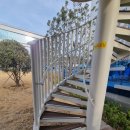 몽스데이 | 부산 사상구 강아지랑 갈만한곳 산책코스 추천 사상그린광장 애견동반 공원