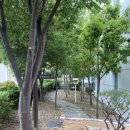 순이네야식 이미지