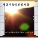 숙이농원 - 용인시 처인구 보개원삼로1924번길 7 | 숙이농원