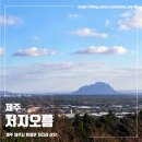 저지오름주차장 | 제주 서쪽 여행지 추천, 아름다운 숲 저지오름, 전망대 방문 후기