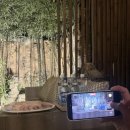 정취한가 민박 이미지