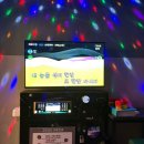 욜로 인생살이