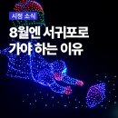 제주공천포전지훈련센터 인조잔디구장 | 8월의 서귀포, 다채로운 즐길 거리로 가득한 특별한 여름