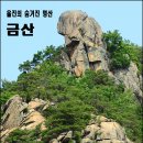 울진 금산과 불영계곡-성류굴 이미지