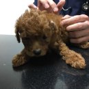 해냄메디칼 이미지