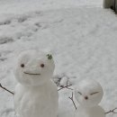 우리정감약국 이미지