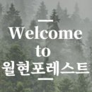 포레스트 캠핑장 이미지