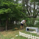 김휘규 카카오 검색결과