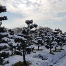 금마3농장 이미지