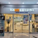 위례 바른 동물의료센터 이미지