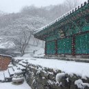 인도야시장 이미지