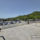 진도 운림산방 | 조용히 산책하기 좋은 곳 진도 운림산방