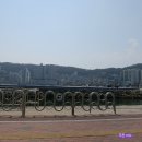 송도해수욕장점 이미지