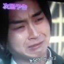 체리츠 이미지