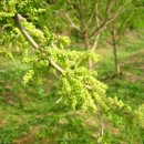 광일농장 이미지