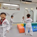 수호천사태권도&번지피지오 이미지