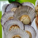 평남목장 | 강원도 2박3일 동해 여행코스 및 맛집 리스트 경비 포함 내돈내산