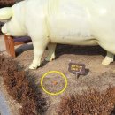 안동레이크골프클럽 이미지