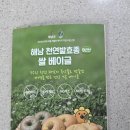 해남군-10 | 쌀 베이글 해남베이글 꿀고구마맛 후기
