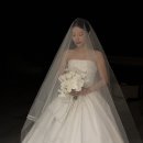 3451 | 부산 보드페어리, 웨딩 드레스 셀렉 후기