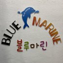 블루마린 세종점 이미지