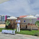 6줄 선율이 전해주는 통기타 | 2024 문화가 있는 날 &lt;실버마이크&gt; 경상권: 부산 광안리 공연 후기🎤