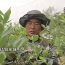 산들블루베리푸드 이미지