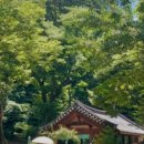 심카페 이미지