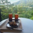 동읍1177 이미지