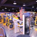 레몬핏 휘트니스 이미지